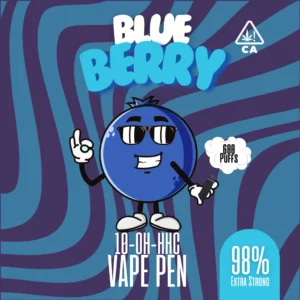 10-oh-hhc blueberry vape 600 puffs_online.webp
